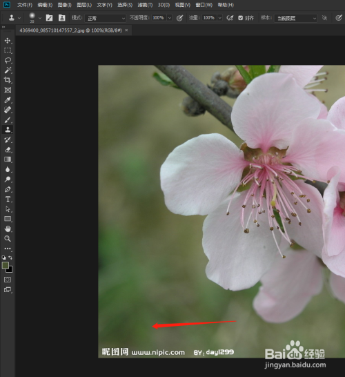 ps教程图片去水印的方法如何去水印