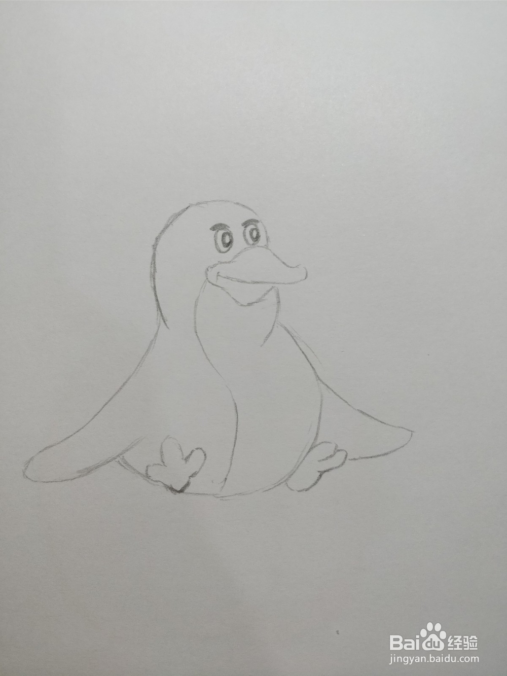 简笔画画企鹅