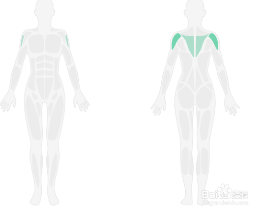 3D肩部轰炸训练