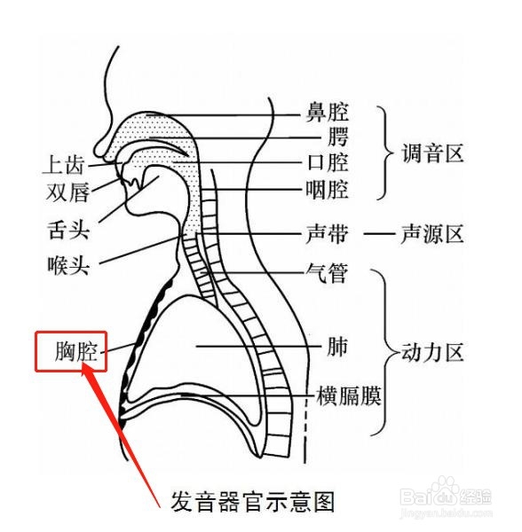 怎样练好普通话和口齿清晰