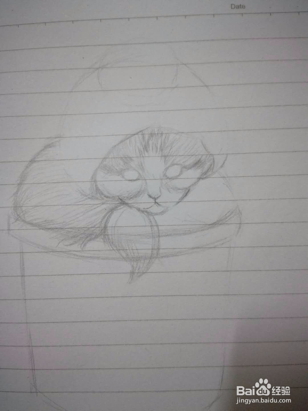 《猫咪盆载》手绘插画教程