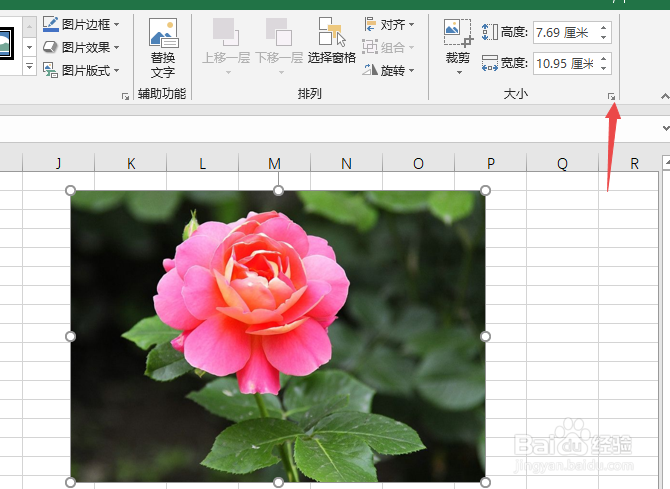 excel2019如何将插入的图片设置长宽一样