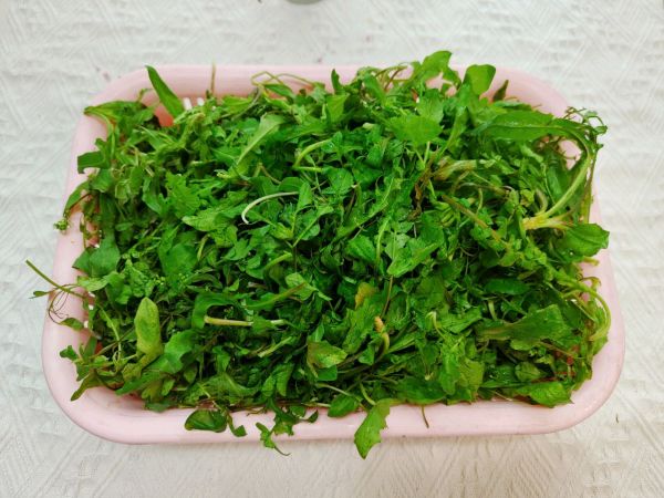 一口鲜荠菜饺子