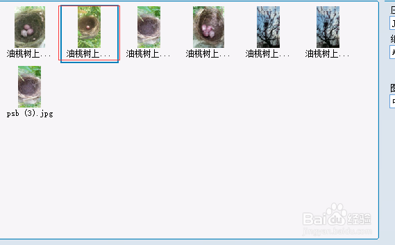 如何把几个jpg图片文件合并到一个pdf文件？