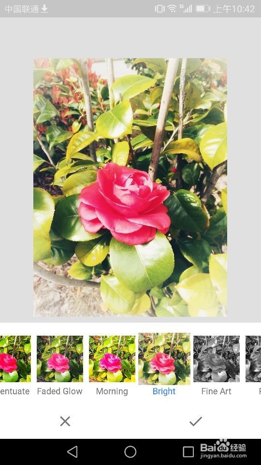 Snapseed软件如何进行照片样式的选择