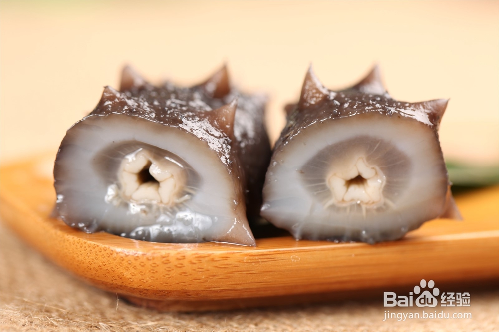 海参是如何繁殖的?