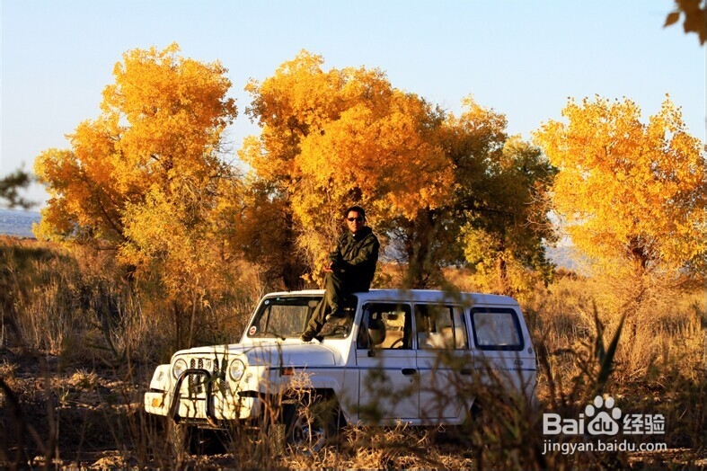 胡杨林旅游攻略：秋光如画 邂逅敦煌胡杨林