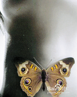 女朋友生气后一定要告诉她，生气真的很伤身体