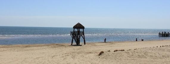 阿那亚怎么预约