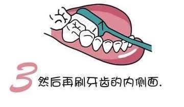 刷牙的方法图解