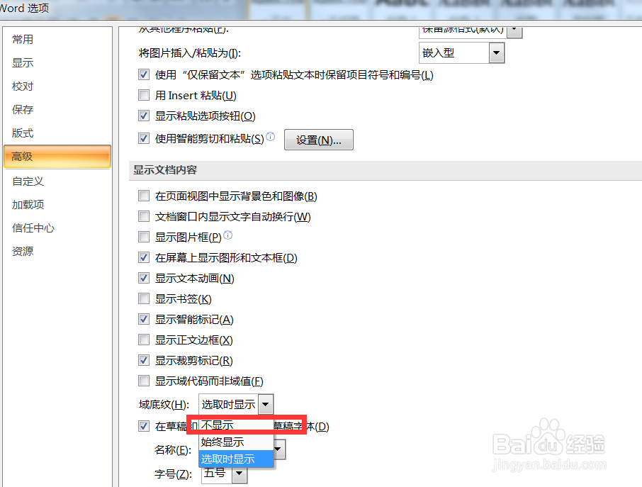 Word2007中我们如何将域底纹设置为不显示
