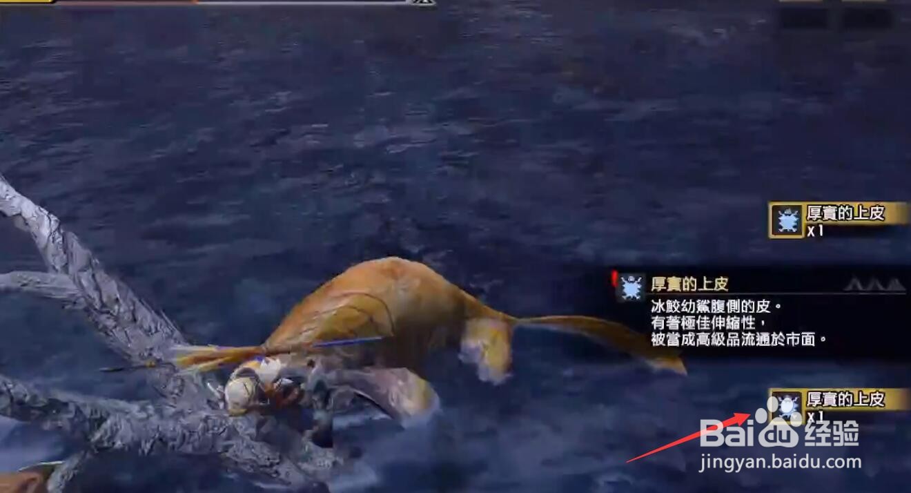 怪物猎人崛起厚实的皮怎么获得