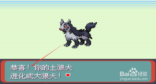 口袋妖怪绿宝石土狼犬怎么进化 百度经验