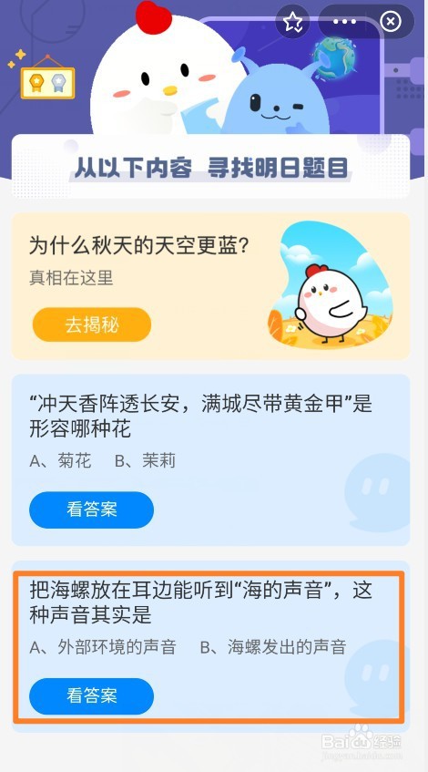 小鸡宝宝考考你把海螺放在耳边能听到海的声音