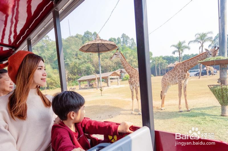 广州长隆野生动物世界攻略1