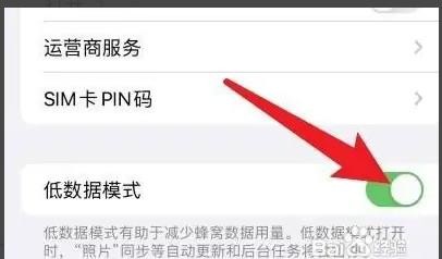 如何关闭苹果手机的低数据模式