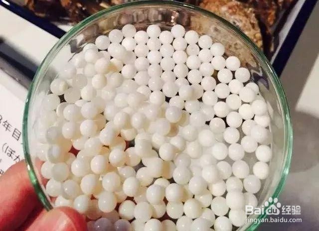 人工珍珠是怎么植入蚌内