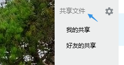 QQ文件的查看和文件管理设置如何操作