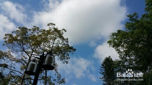 白云山旅游攻略