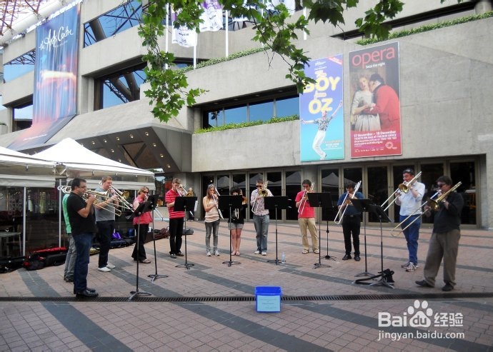 澳洲游记：[22]墨城林荫大道