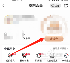 京东在哪提升我的京享值