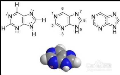 痛风和高尿酸血症对摄入嘌呤常见的误区有哪些
