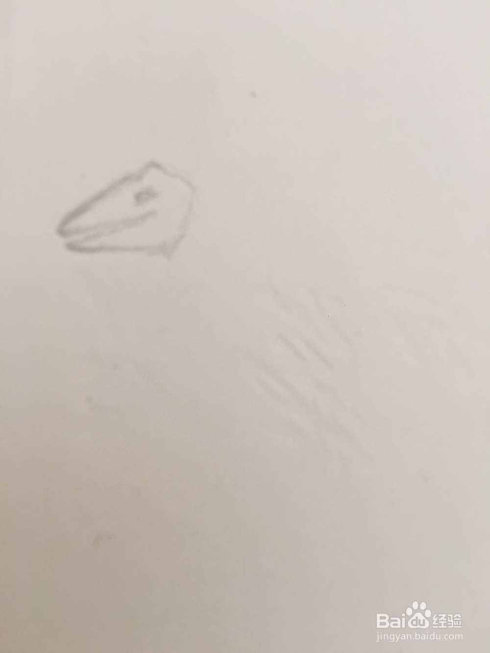 大雁的简笔画怎么画