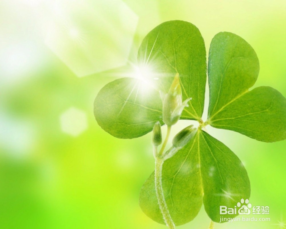 如何丰富自己的大学生活呢？