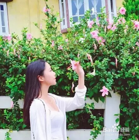 怎样拍好旅行照片