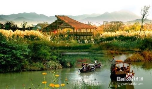 西溪湿地摇橹船攻略