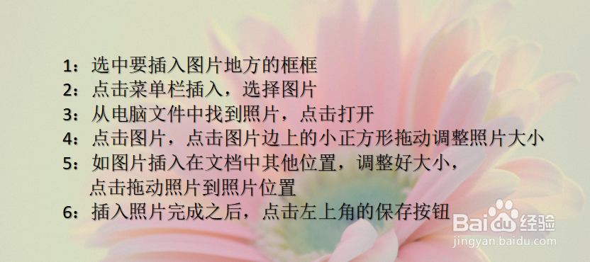 怎样在wps(word)版个人简历表中插入照片？