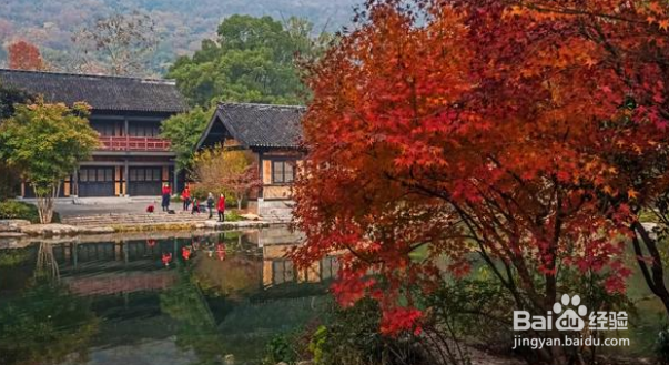 秋色怡人摄影可以拍些啥素材?