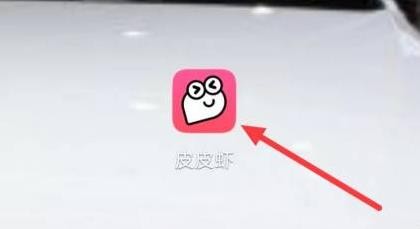 皮皮虾如何设置生日/星座