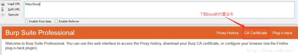 图解Burp Suite抓取HTTPS数据包