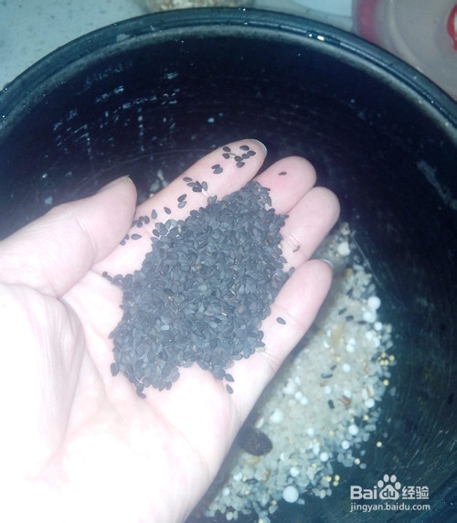 最简单的懒人八宝粥做法