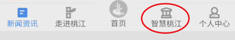 我的桃江如何查询税收完税证明