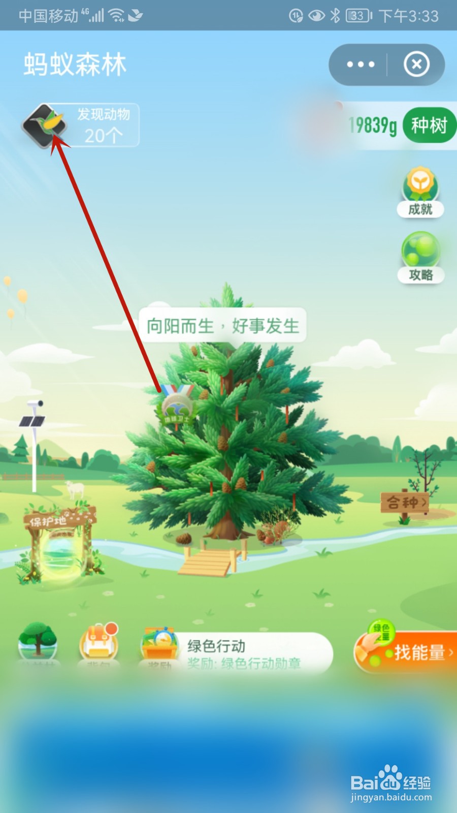 神奇物种怎样设置开启发现今日动物提醒