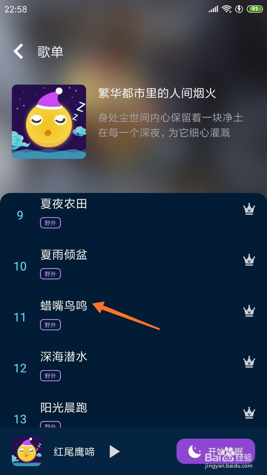 轻松睡眠中如何查看蜡嘴鸟鸣