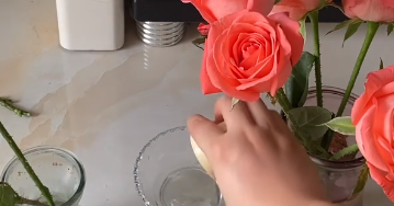 鲜花蔫了怎么快速急救