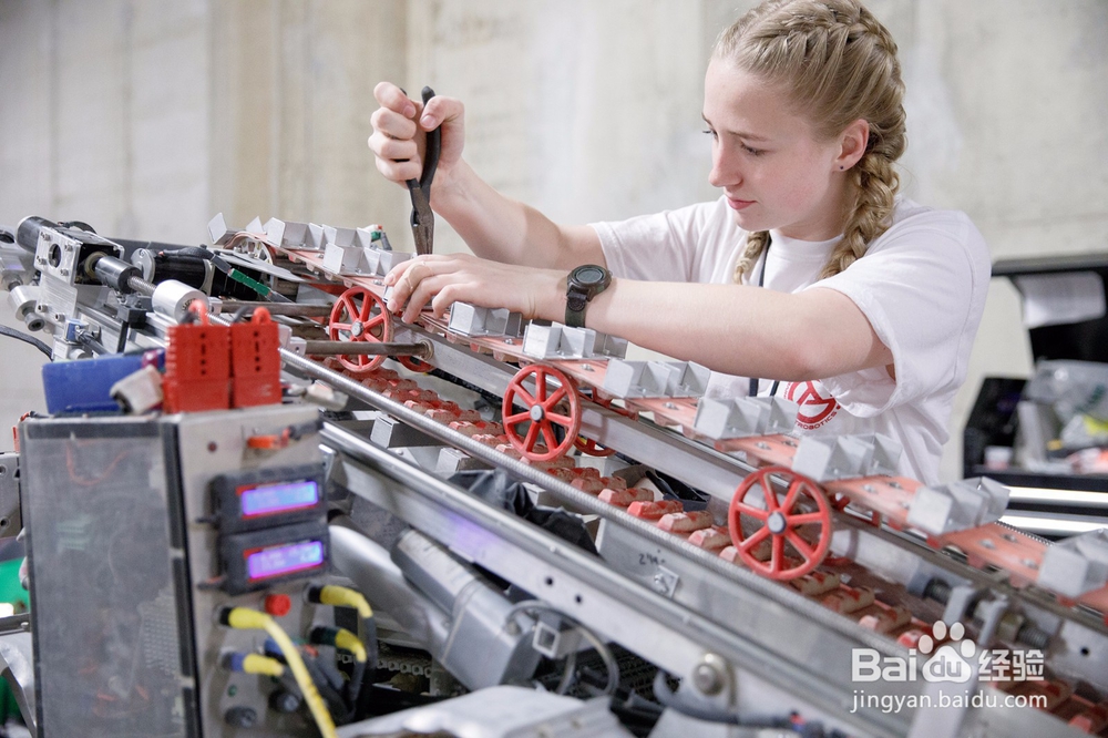 阿拉巴马大学可以报哪些专业？