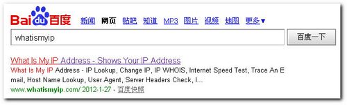 怎样查询自己上网的公网IP地址