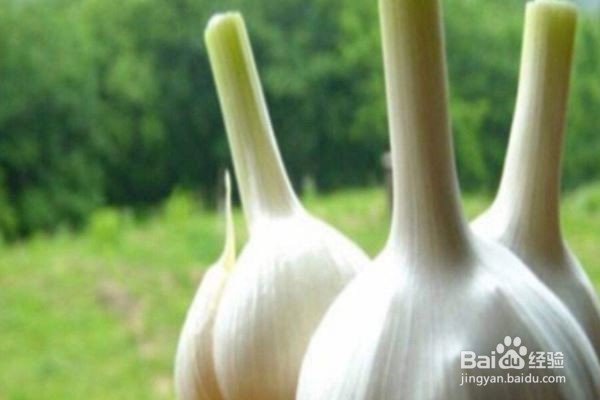 如何掌控自己的时间和生活