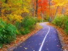 秋天应从哪些方面预防癫痫