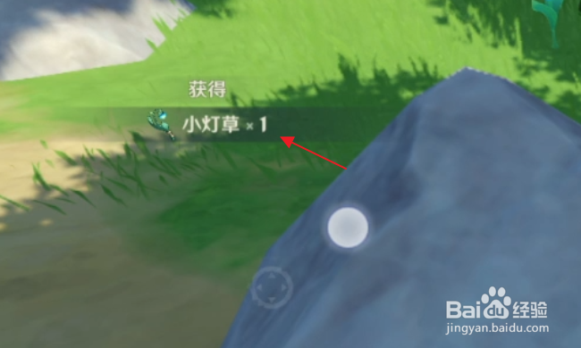 原神怎样采集小灯草