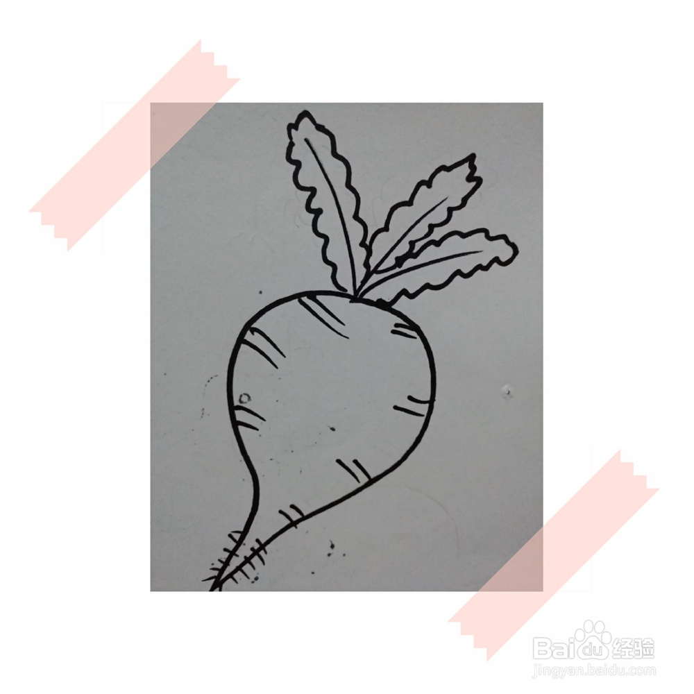 儿童简笔画教程画萝卜