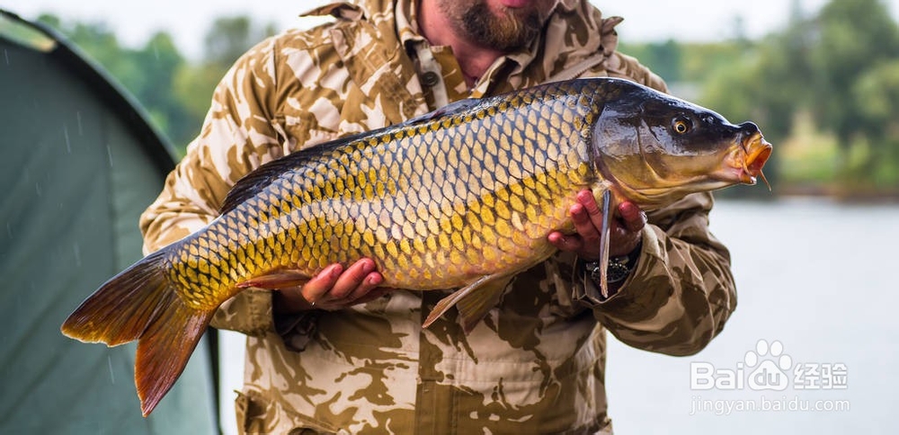 钓鱼防止小鱼闹窝方法有哪些