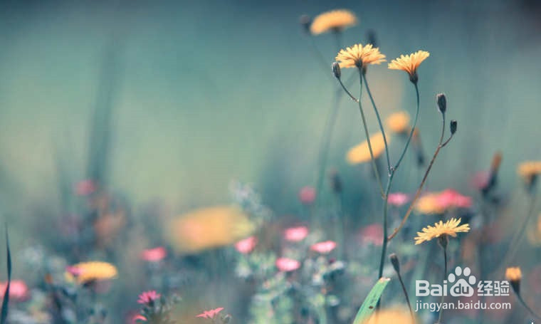 高中阅读理解的技巧方法