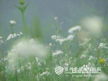 成长in华南师范大学之辅修、保研、考研篇