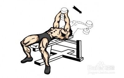 怎样用哑铃练胸肌(收藏版)