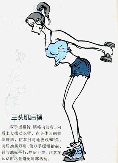 【健美】四周变身魔术之力量训练图解